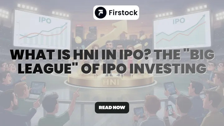 What is HNI in IPO